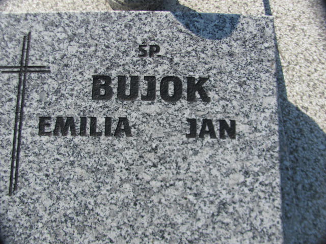 Jan Bujok 1901 Goleszów ewangelicki - Grobonet - Wyszukiwarka osób pochowanych