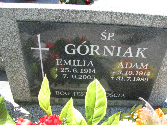 Jan Mitręga 1956 Goleszów ewangelicki - Grobonet - Wyszukiwarka osób pochowanych